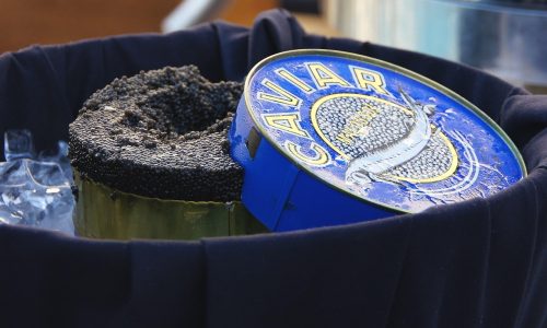 fotofan1-caviar-389065_1280